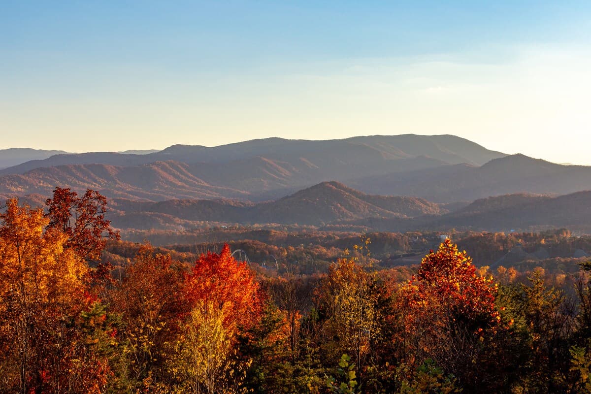 Warm cabin interior with natural wood accents and cozy furnishings