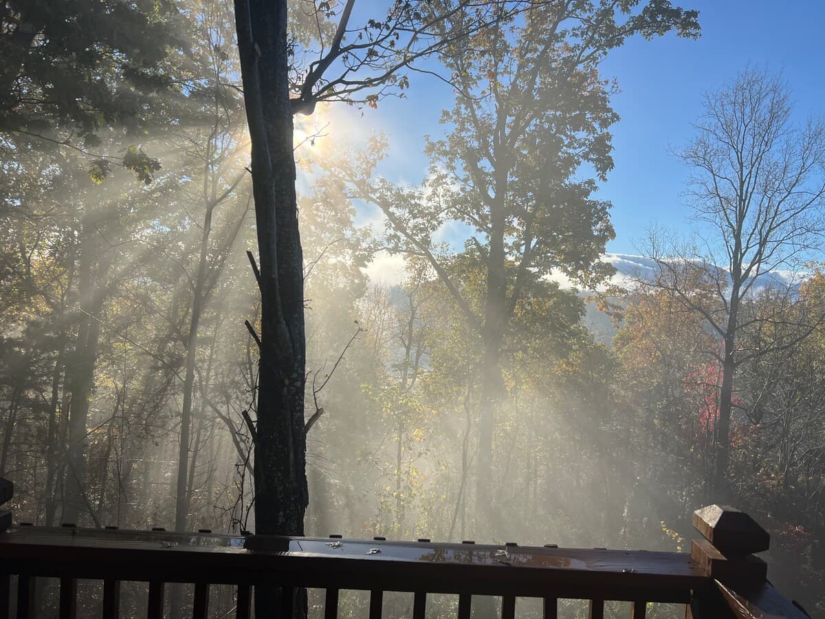 Updated cabin details and amenities