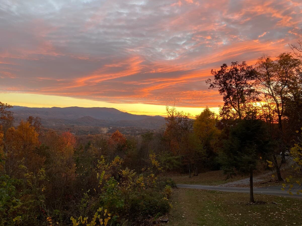 Cabin furnishings and cozy details
