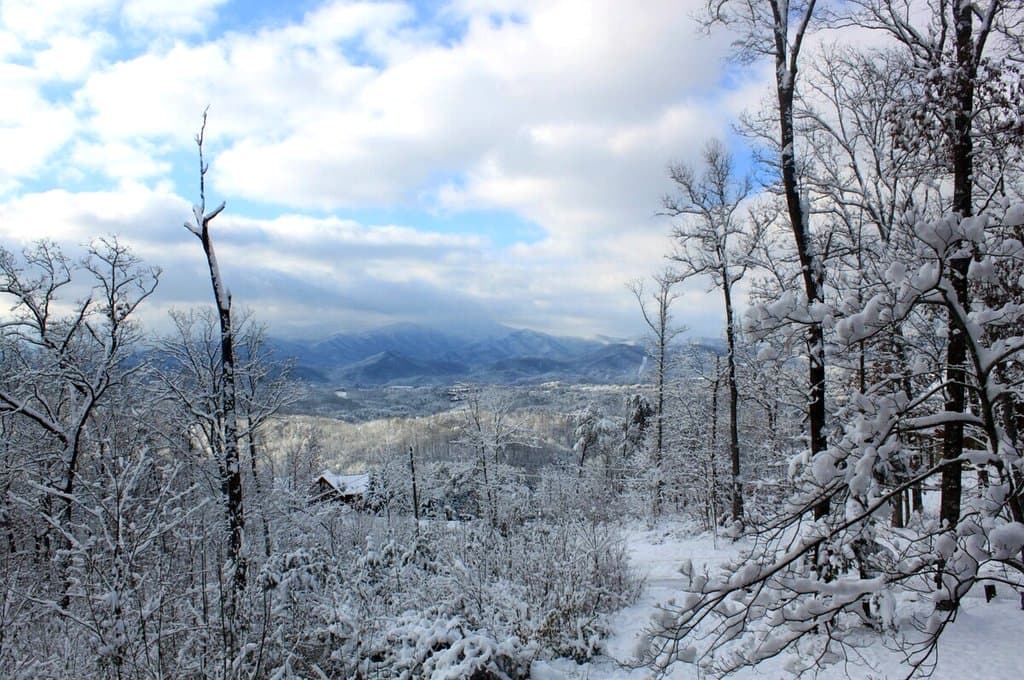 Actual photo from Thistle Britches: Snow-covered trees framing a distant mountain view