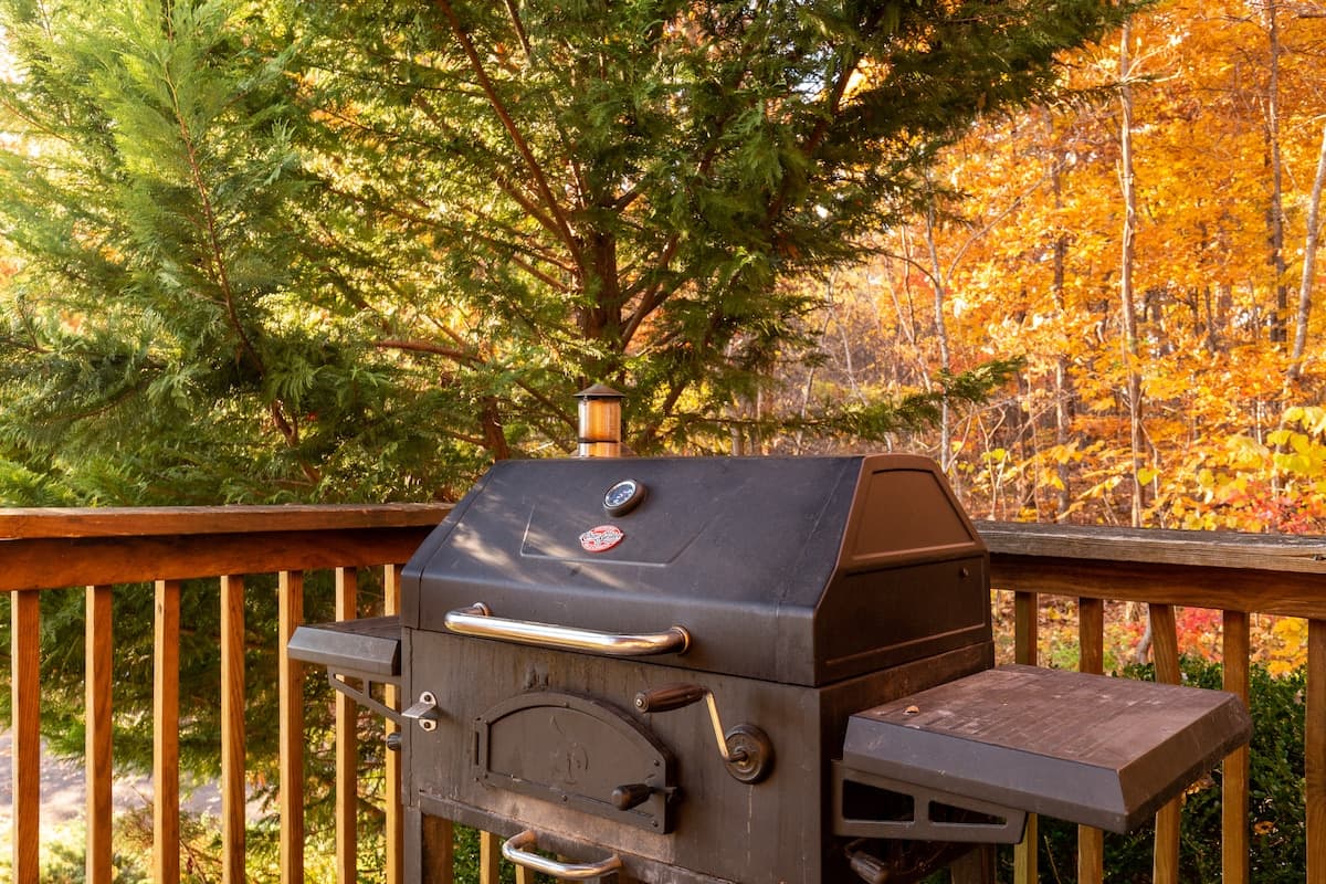 Miss Dolly Pawton at her Squirrel Surveillance post on the deck surrounded by vibrant orange and gold fall foliage