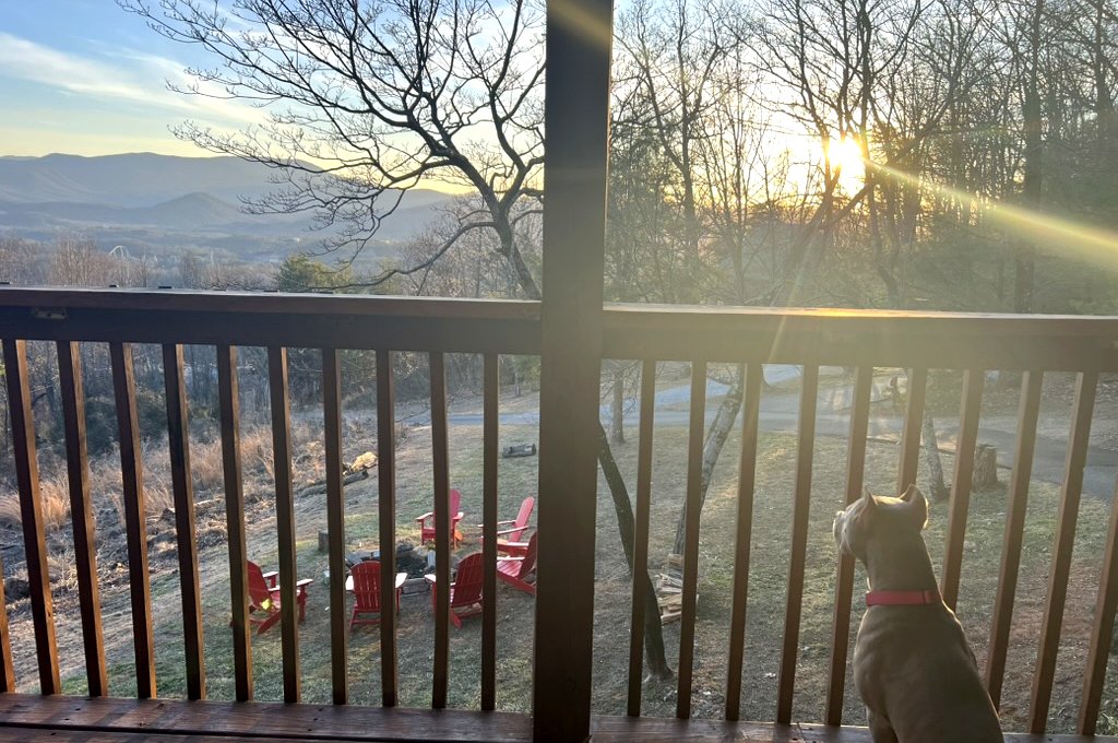 Actual photo from Thistle Britches: Dolly Pawton sitting by the deck railing facing the sunlit trees