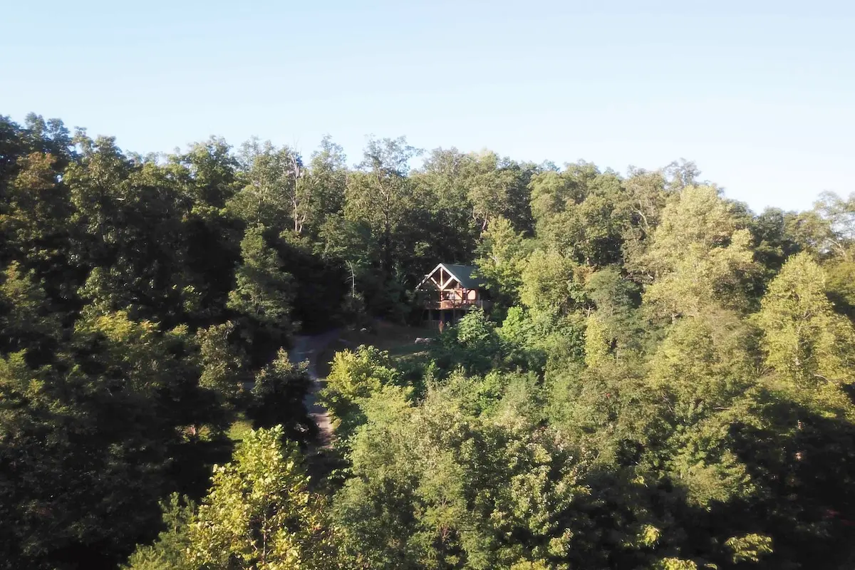 Secluded forest views from Thistle Britches